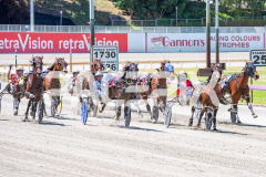 Frisky-Styx_05-11-2025_WIN_Gloucester-Park_5__10