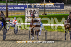 2026_PACEPIX_GP01092026_Race5_GetnWiggyWithit_WIN_WEB-1