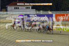 2026_PACEPIX_GP01092026_Race5_GetnWiggyWithit_WIN_WEB-11