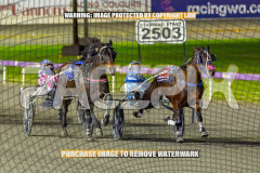 2026_PACEPIX_GP01092026_Race5_GetnWiggyWithit_WIN_WEB-13