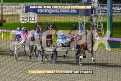 2026_PACEPIX_GP01092026_Race5_GetnWiggyWithit_WIN_WEB-14
