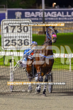 2026_PACEPIX_GP01092026_Race5_GetnWiggyWithit_WIN_WEB-2