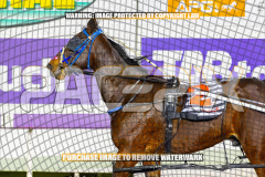 2026_PACEPIX_GP01092026_Race5_GetnWiggyWithit_WIN_WEB-28