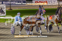 2026_PACEPIX_GP01092026_Race5_GetnWiggyWithit_WIN_WEB-3