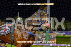 2026_PACEPIX_GP01092026_Race5_GetnWiggyWithit_WIN_WEB-30