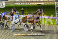 2026_PACEPIX_GP01092026_Race5_GetnWiggyWithit_WIN_WEB-6