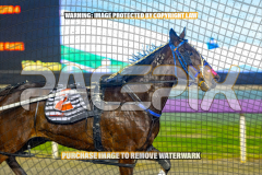 2026_PACEPIX_GP01092026_Race5_GetnWiggyWithit_WIN_WEB-7