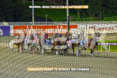2026_PACEPIX_GP01092026_Race5_GetnWiggyWithit_WIN_WEB-8