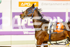 2025_PACEPIX_GP07102025_RACE5_GettinWiggyWithit_WIN_WEB-18