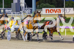 2025_PACEPIX_GP07102025_RACE5_GettinWiggyWithit_WIN_WEB-3
