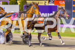 2025_PACEPIX_GP07102025_RACE5_GettinWiggyWithit_WIN_WEB-4
