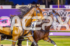 2025_PACEPIX_GP07102025_RACE5_GettinWiggyWithit_WIN_WEB-5