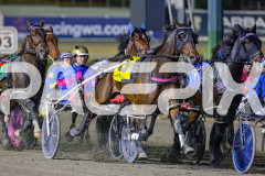 2026_PACEPIX_GP08052026_Race5_GoldenLode_WIN_WEB-3