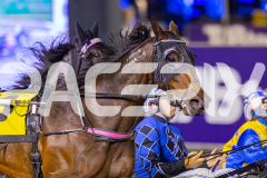 2026_PACEPIX_GP08052026_Race5_GoldenLode_WIN_WEB-4