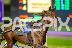 2025_PACEPIX_GP25042025_RACE5_GullyGum_WIN_WEB-17