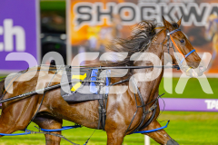 2025_PACEPIX_GP25042025_RACE5_GullyGum_WIN_WEB-2