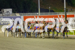 2025_PACEPIX_GP25042025_RACE5_GullyGum_WIN_WEB-4