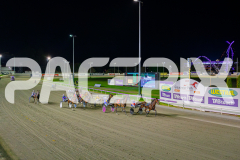 2025_PACEPIX_GP25042025_RACE5_GullyGum_WIN_WEB-50