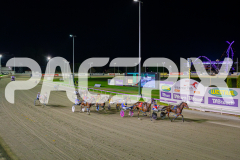 2025_PACEPIX_GP25042025_RACE5_GullyGum_WIN_WEB-51
