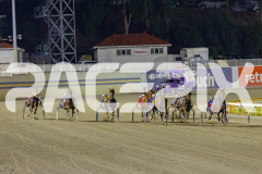 2025_PACEPIX_GP25042025_RACE5_GullyGum_WIN_WEB-7