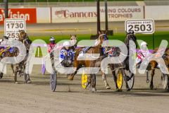 RACE 5 - Heavenly Bliss