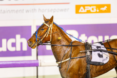 2025_PACEPIX_GP15072025_Race5_HeavenlyBliss_WIN_WEB-13