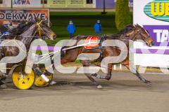 2025_PACEPIX_GP18062025_RACE5_HEAVENLY-GIPSY_WIN_WEB-7