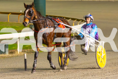 2025_PACEPIX_GP18062025_RACE5_HEAVENLY-GIPSY_WIN_WEB-8