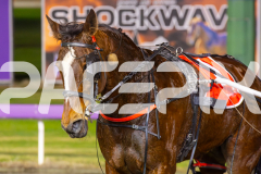 2025_PACEPIX_GP18062025_RACE5_HEAVENLY-GIPSY_WIN_WEB-9
