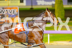2025_PACEPIX_GP27052025_RACE5_HerPresence_WIN_WEB-15