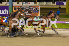 Hes-Thunder_06-12-2025_WIN_Glouester-Park_5__07