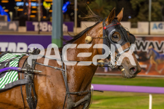 Hes-Thunder_06-12-2025_WIN_Glouester-Park_5__11