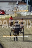 2026_PACEPIX_GP25092026_RACE5_HezTheBoss_WIN_WEB-11