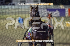 2026_PACEPIX_GP25092026_RACE5_HezTheBoss_WIN_WEB-12