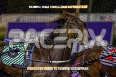 2026_PACEPIX_GP25092026_RACE5_HezTheBoss_WIN_WEB-18