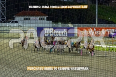 2026_PACEPIX_GP25092026_RACE5_HezTheBoss_WIN_WEB-19