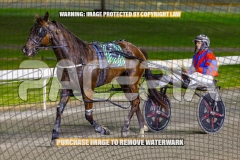 2026_PACEPIX_GP25092026_RACE5_HezTheBoss_WIN_WEB-43