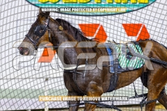 2026_PACEPIX_GP25092026_RACE5_HezTheBoss_WIN_WEB-44