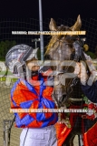 2026_PACEPIX_GP25092026_RACE5_HezTheBoss_WIN_WEB-54