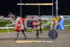 2026_PACEPIX_GP25092026_RACE5_HezTheBoss_WIN_WEB-56