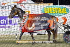 2026_PACEPIX_GP25092026_RACE5_HezTheBoss_WIN_WEB-57