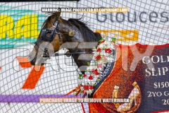 2026_PACEPIX_GP25092026_RACE5_HezTheBoss_WIN_WEB-58