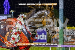 2026_PACEPIX_GP25092026_RACE5_HezTheBoss_WIN_WEB-61