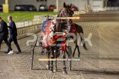 Hez-The-Boss_25-09-2026_WIN_Gloucester-Park_5__07