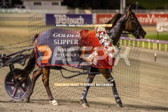 Hez-The-Boss_25-09-2026_WIN_Gloucester-Park_5__08