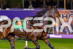 2026_PACEPIX_GP12062026_RACE5_HotlyPursued_WIN_WEB-11