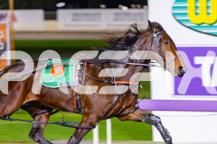 2026_PACEPIX_GP12062026_RACE5_HotlyPursued_WIN_WEB-14