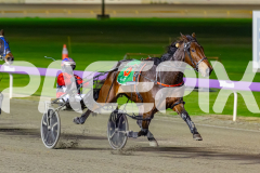2026_PACEPIX_GP12062026_RACE5_HotlyPursued_WIN_WEB-17