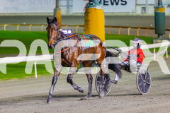 2026_PACEPIX_GP12062026_RACE5_HotlyPursued_WIN_WEB-21