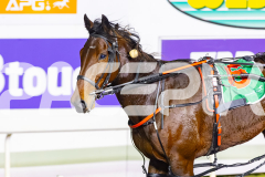 2026_PACEPIX_GP12062026_RACE5_HotlyPursued_WIN_WEB-23